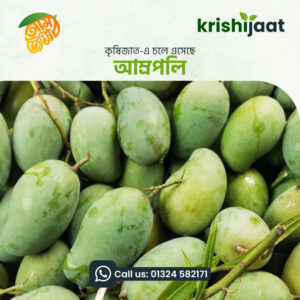 import placeholder for 1751